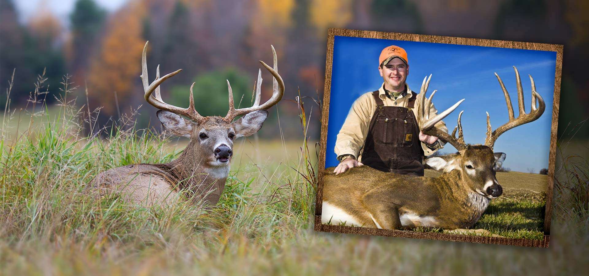 Illinois Deer Hunting Outfitter West Central Outfitters, LLC